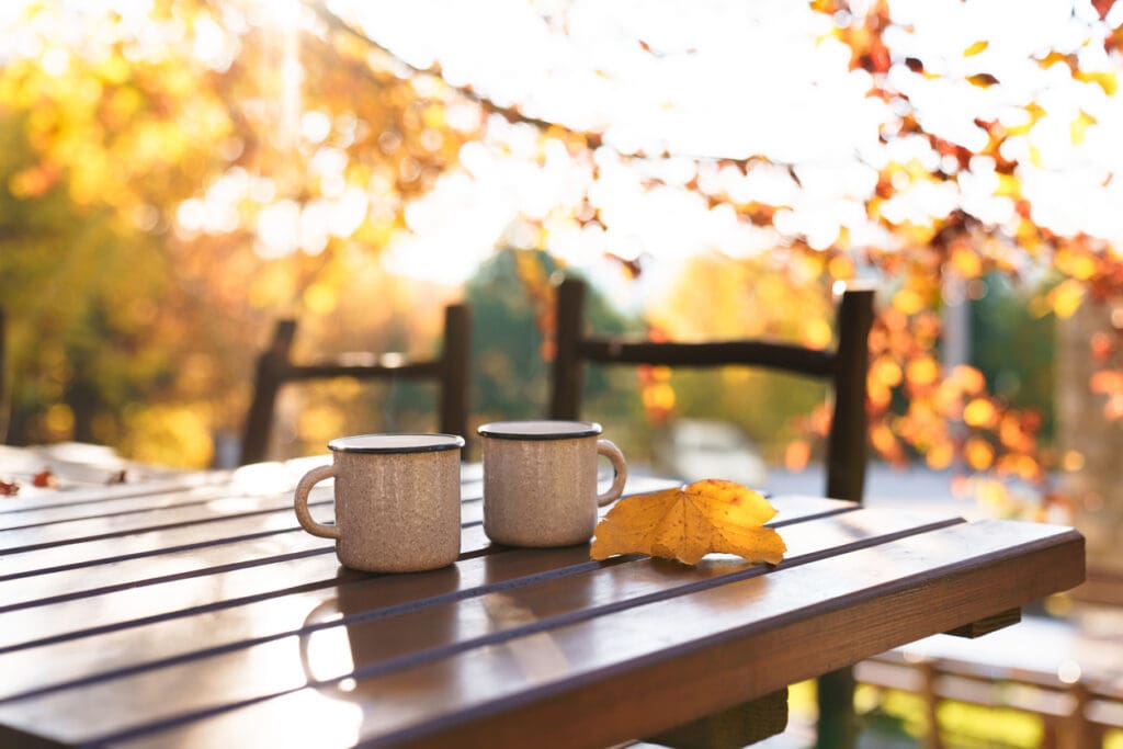 Autumn Fun in Rock Hill: Seasonal Activities for Seniors