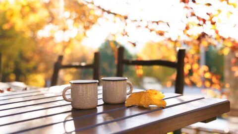 Autumn picnic at nature. Camping cups of coffee on wooden table in cozy forest. Calming drinks in slow travel outdoors. Hot beverages in reusable mugs. Morning tea in authentic mountains, fall vibes Autumn Fun in Rock Hill: Seasonal Activities for Seniors